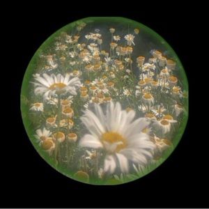 Meet your Posher, Pavan